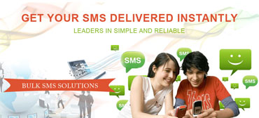 website developer trichy
