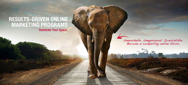 website developer trichy