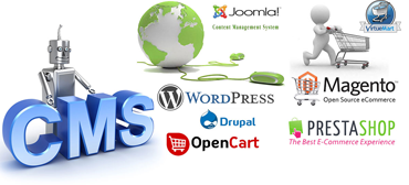 WordPress Website Development Tamil Nadu